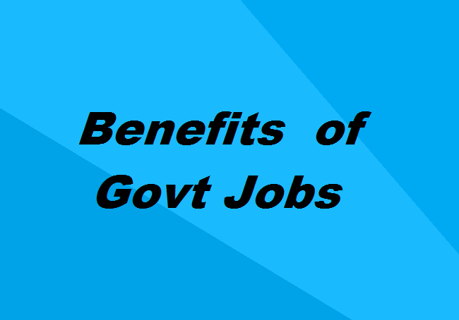 GOVERNMENT JOB BENEFITS